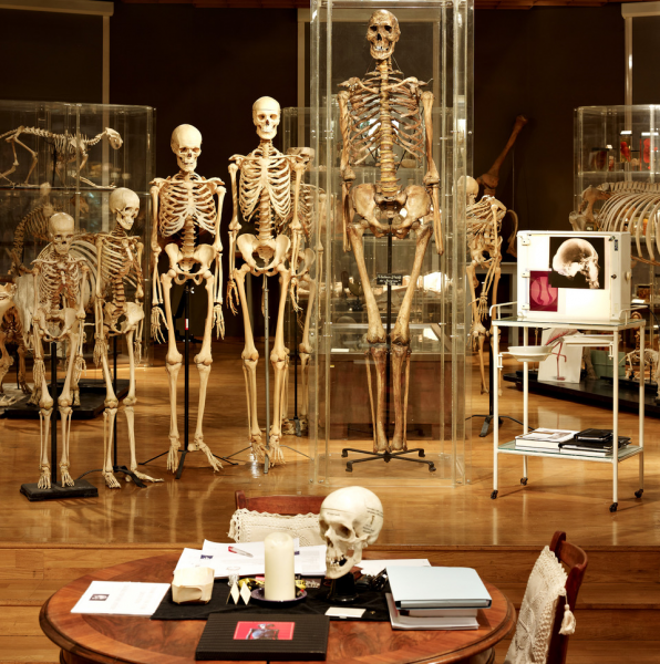 Anatomisches Museum IBK
